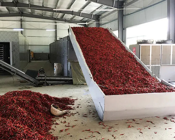 Chili Dryer Machine