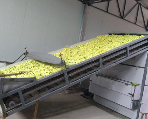 Flower Drying Machine
